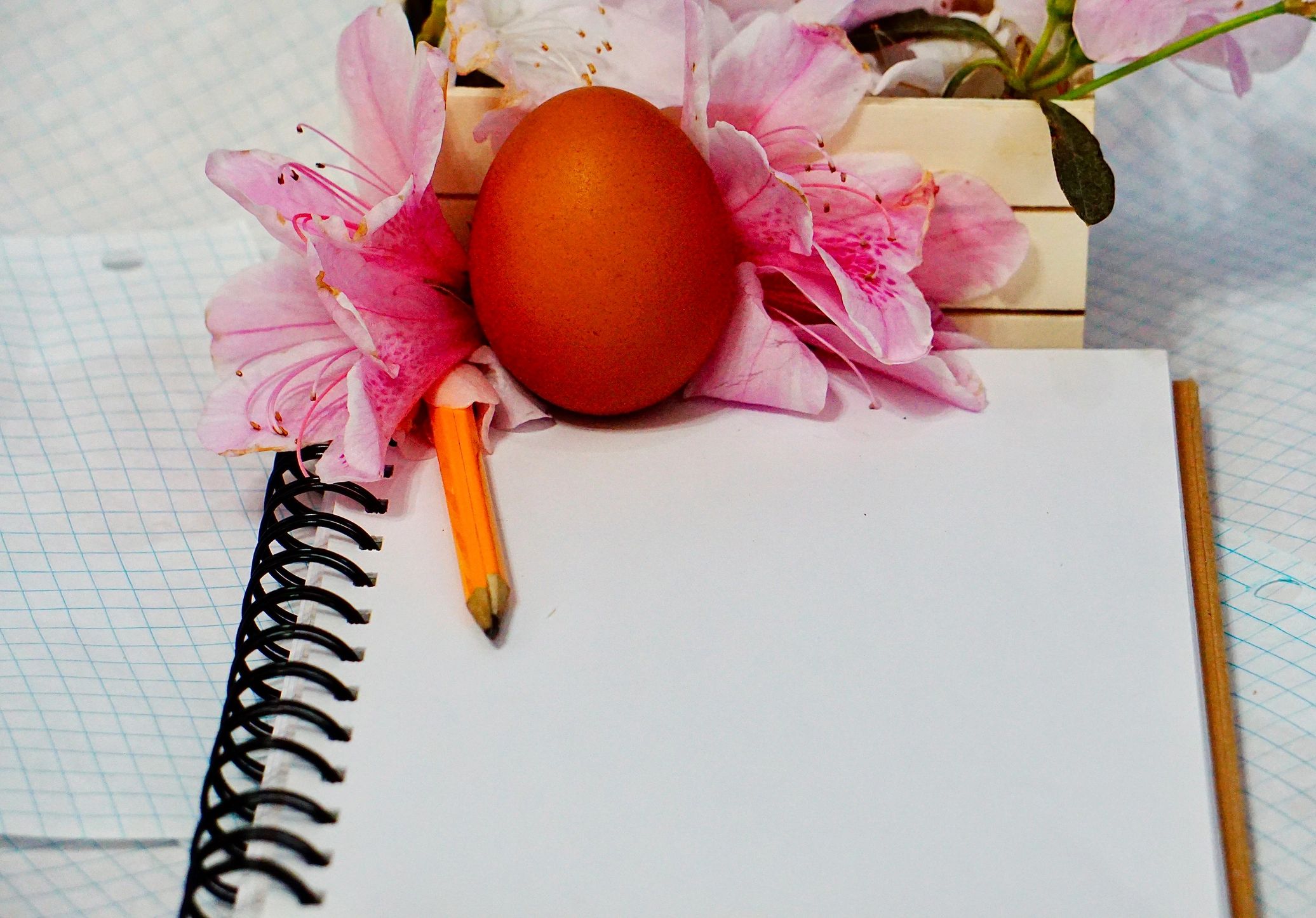 Cuaderno y lápiz sobre una mesa para una práctica de reflexión tranquila