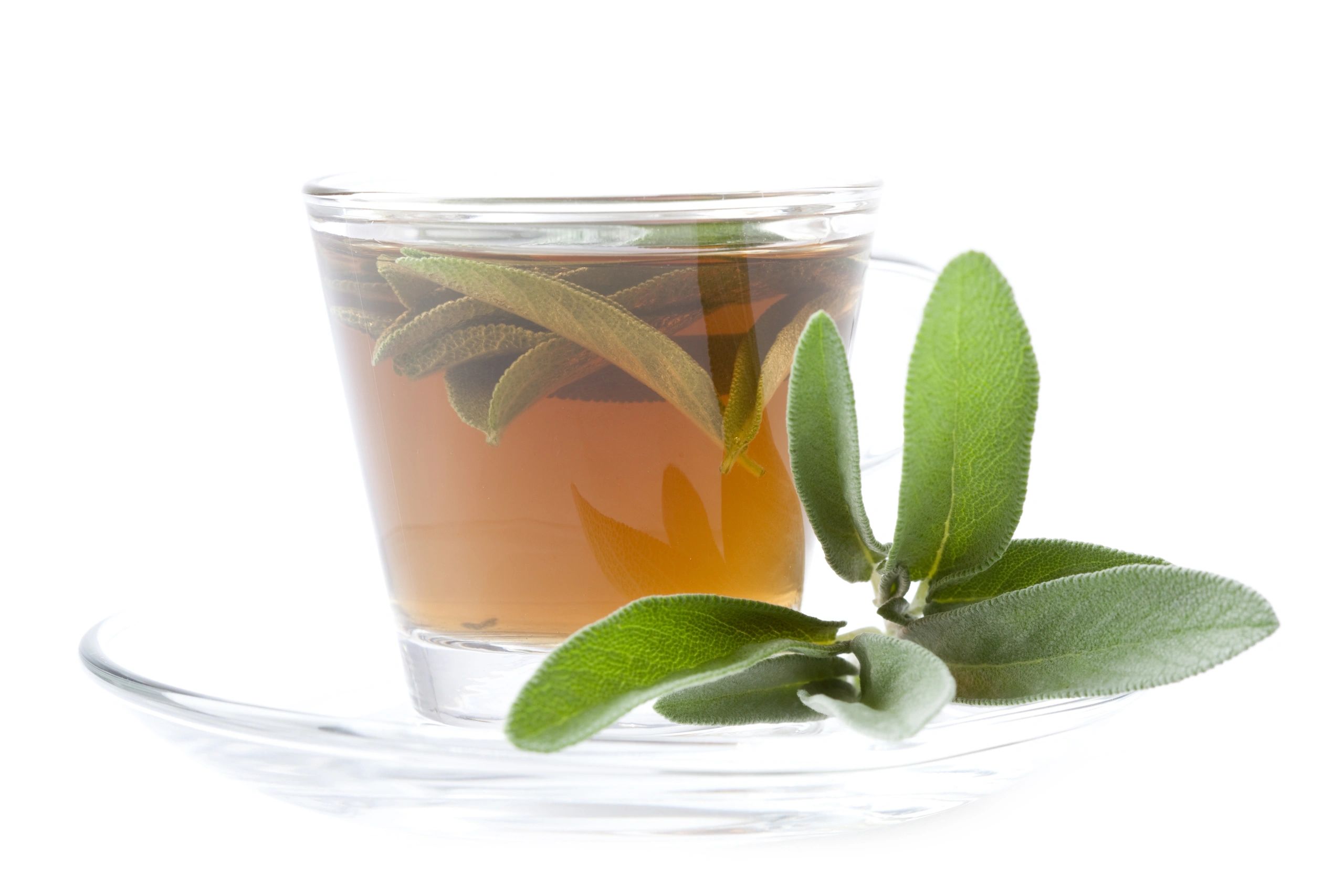 Taza de té de hierbas junto a hojas de salvia sobre fondo blanco